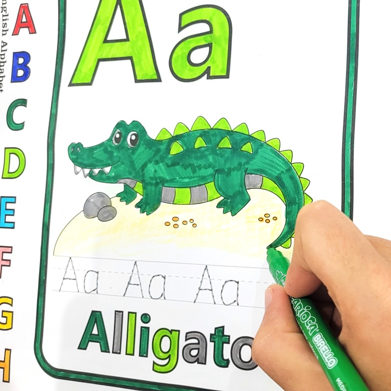 פעילות הפעלה לימוד אנגלית ABC
