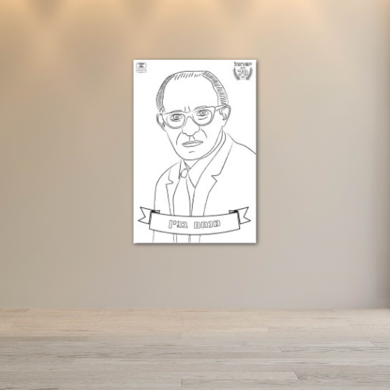 מנחם בגין פעילות הפעלה