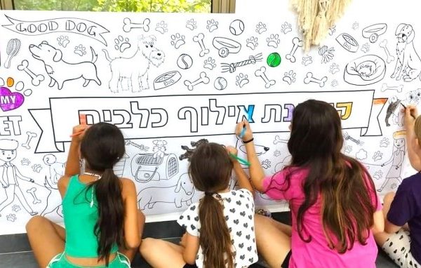 __פעילות קייטנת אילוף כלבים הפעלה מרכז קהילתי כלבים_