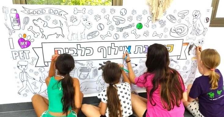 __פעילות קייטנת אילוף כלבים הפעלה מרכז קהילתי כלבים_