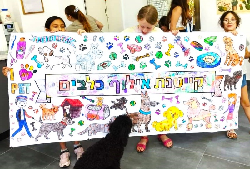 _פעילות קייטנת אילוף כלבים הפעלה מרכז קהילתי כלבים__