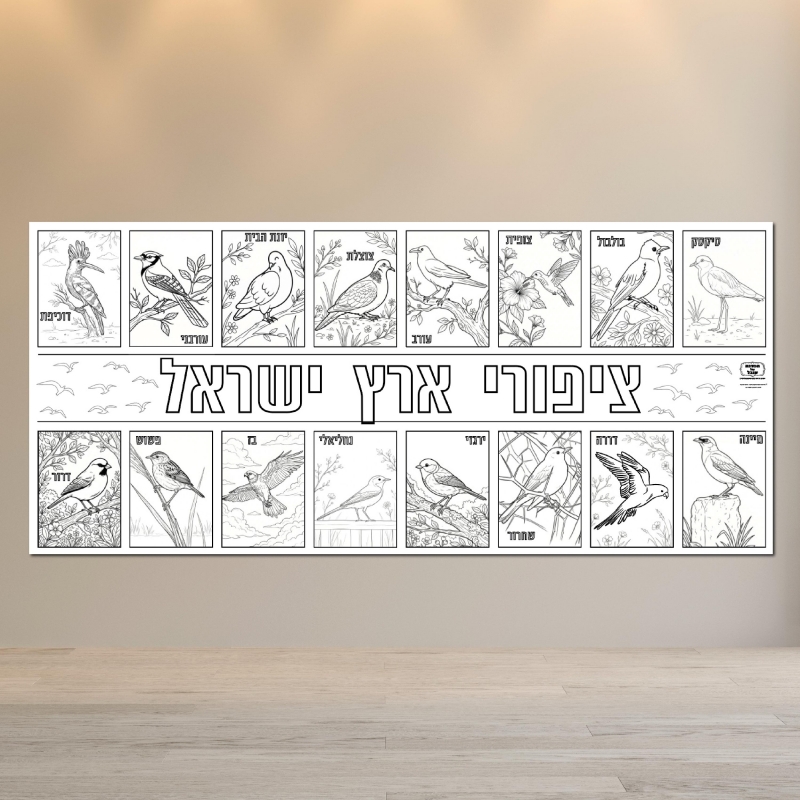 _ציפורים דוכיפת ירגזי עורבני יונה מיינה שחרור פשוש דררה פעילות הפעלה יצירה משותפת_ציפורים ישראל 2 מטר