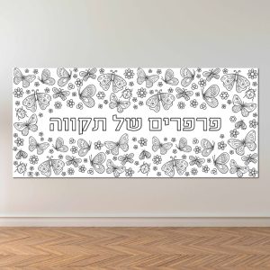 סולידריות, תקווה, חיזוק, נחמה, פעילות הפעלה