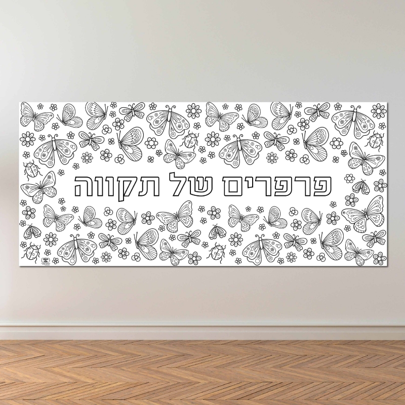 סולידריות, תקווה, חיזוק, נחמה, פעילות הפעלה